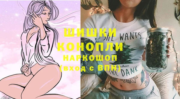 a pvp Рославль