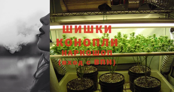 гидра Слюдянка