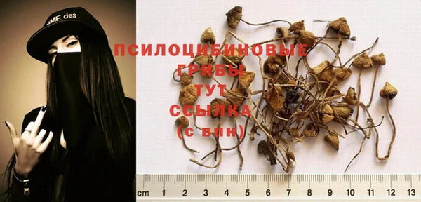 герыч Михайлов